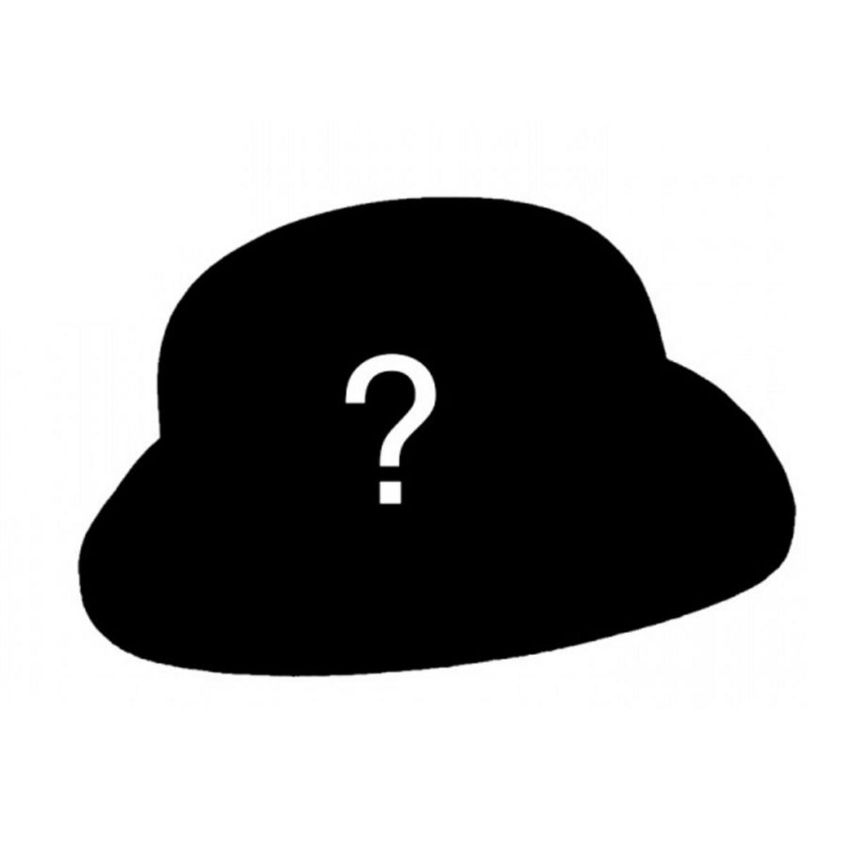 Village Hat Shop | Mystery Hat | ZPMysteryHat | lead | ASSORTED