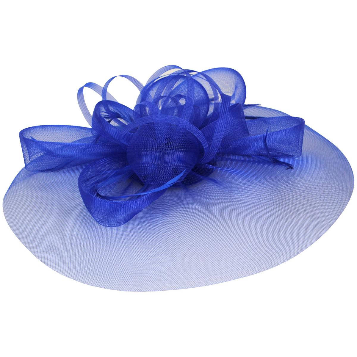 Kathy Jeanne | Firework Horsehair Mesh and Feather Fascinator Hat | 122411 | lead | ROYAL