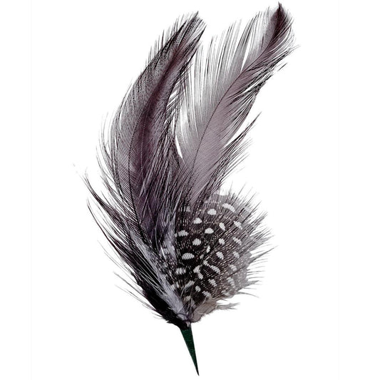 BRIXTON HATS | Side Feather | 601100 | lead | BURNT HENNA/BLACK