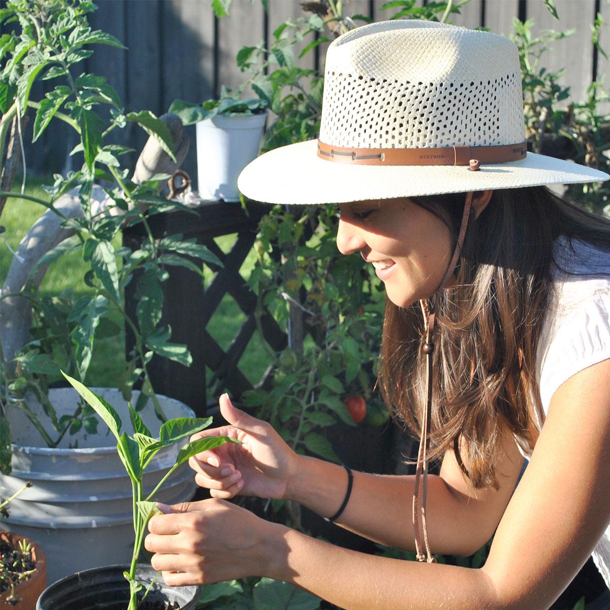 Stetson | Airway Panama Straw Safari Fedora Hat | 126920 | lsfone | NATURAL