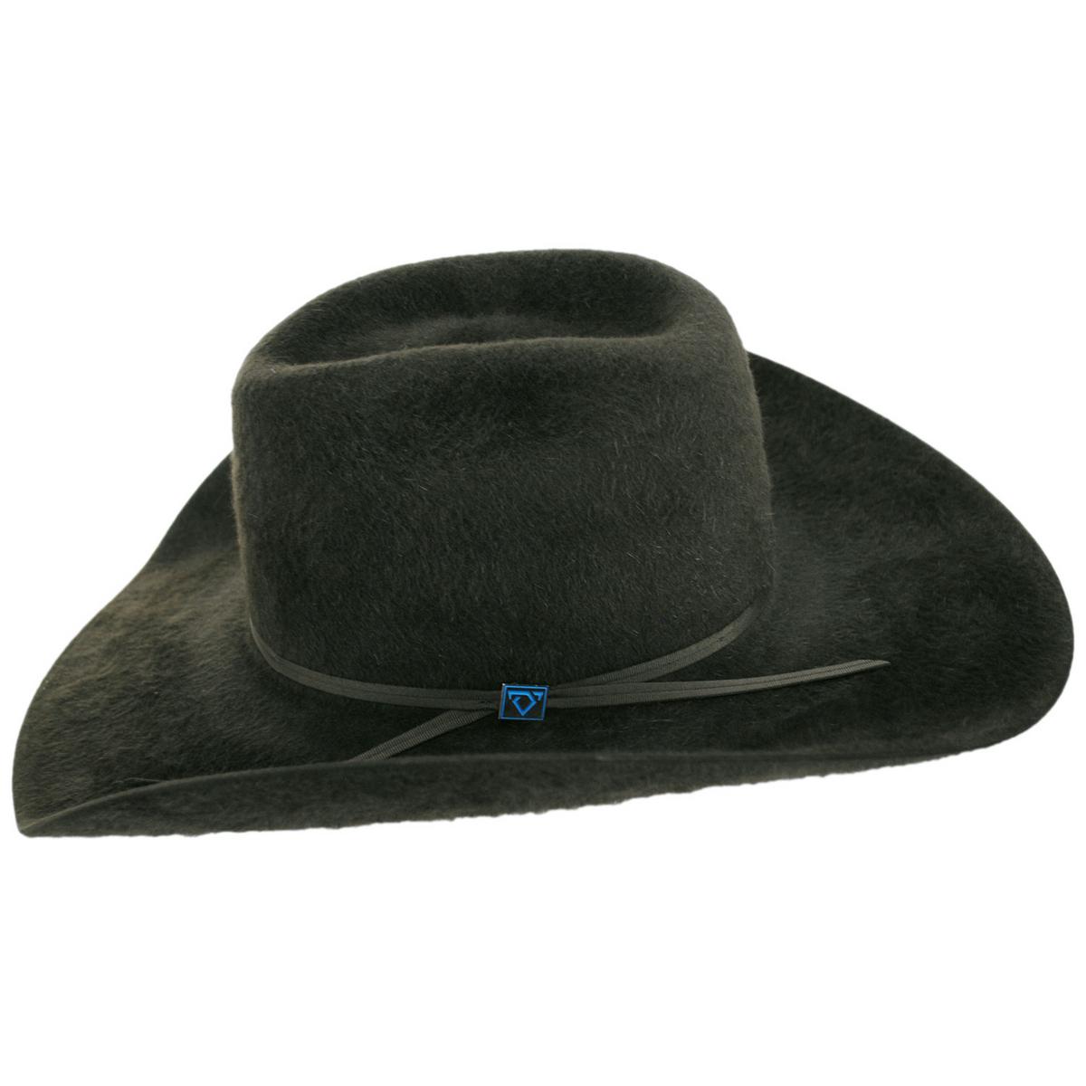Resistol | Cody Johnson Grizzly Mountain 6X Fur Felt Western Hat | 130760 | profile | SAGE
