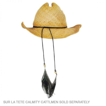 Peacock Hat Band