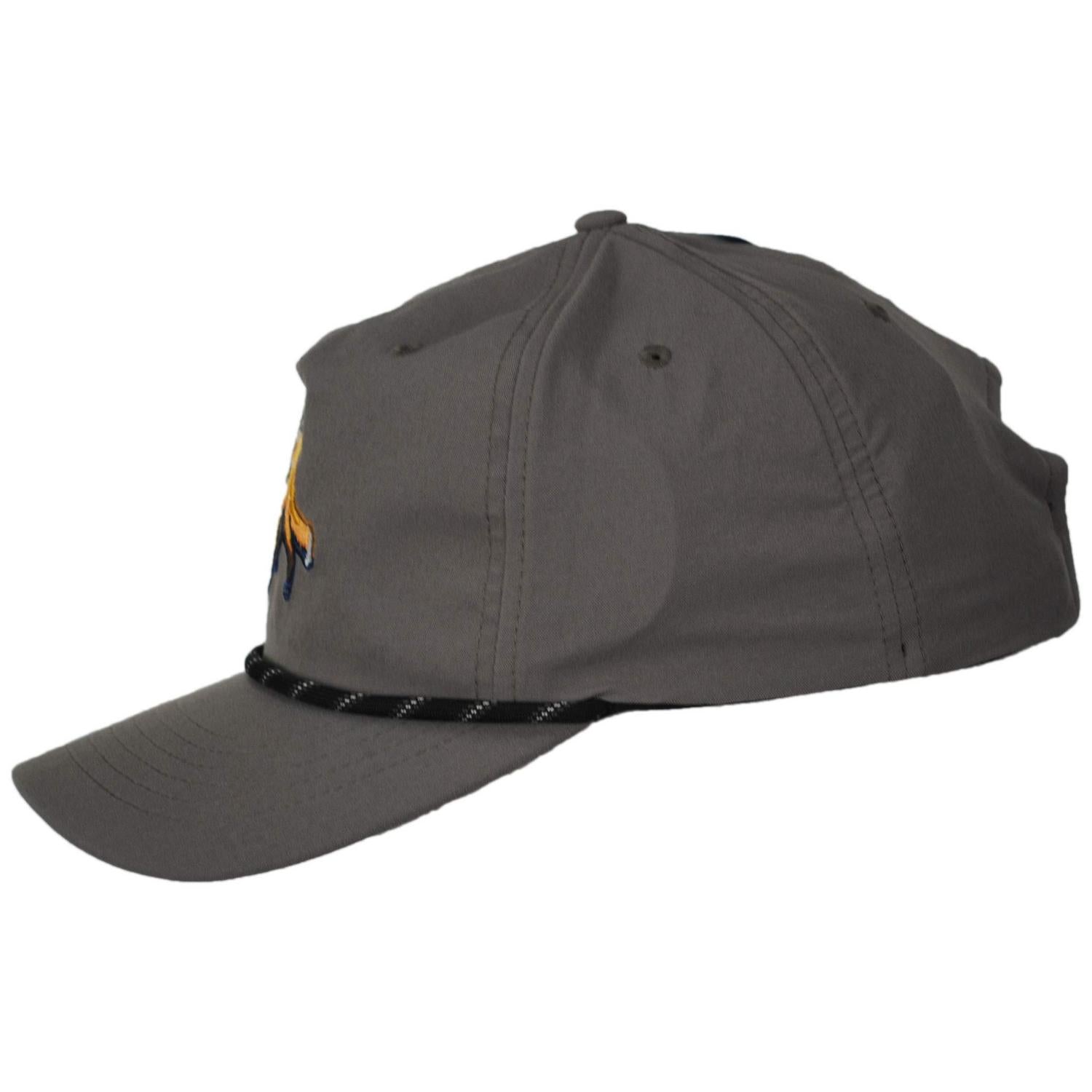 Columbia Sportswear | Ecoscape 3D Stretch Nylon Snapback Baseball Cap | 400085 | profile | IRON