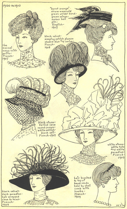 1900 to 1910 women's headwear: the Marcel, paradise/ostrich plumes