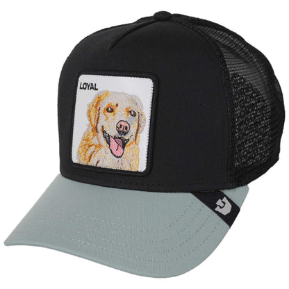 Goorin Bros | Loyal Dog Mesh Trucker Snapback Baseball Cap | 200601 | lead | VOID/SHADE