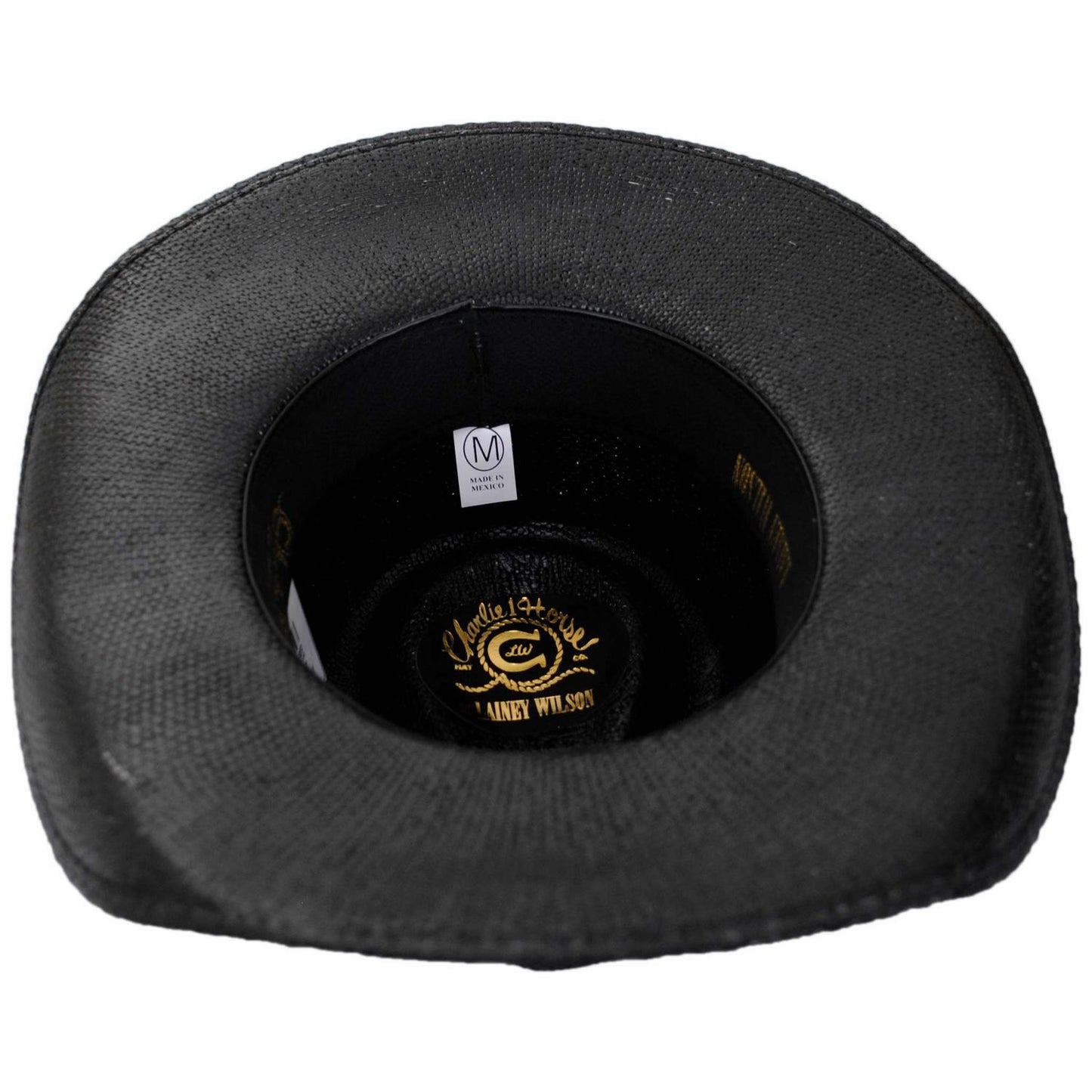 Charlie 1 Horse | Lainey Wilson Wildflower Bangora Straw Western Hat | 101682 | under | BLACK