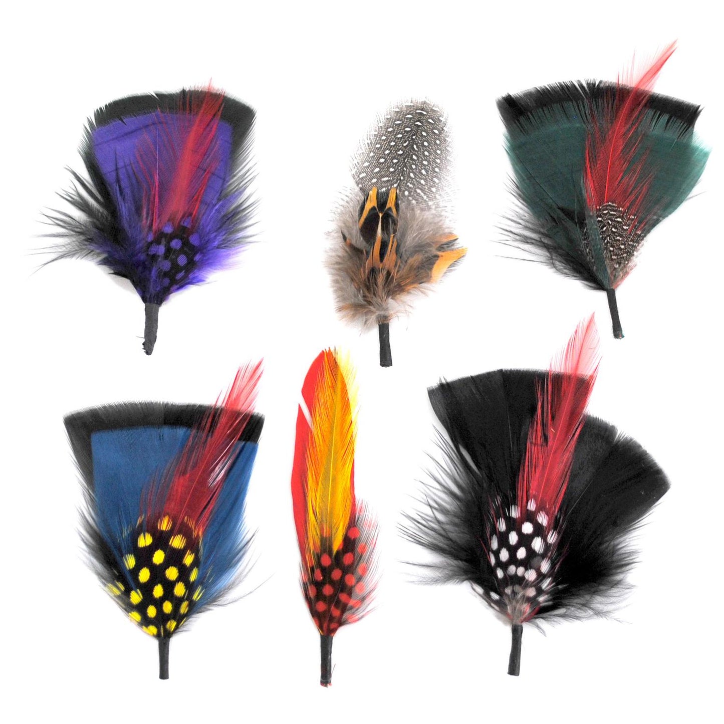 Capas Headwear | Fashion Side Feather 6-Pack | 602004 | lead | ASSORTED