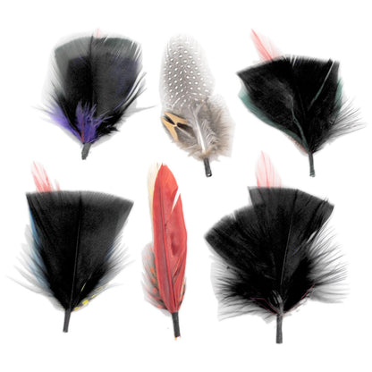 Capas Headwear | Fashion Side Feather 6-Pack | 602004 | under | ASSORTED