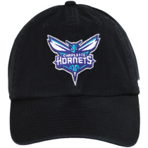 Charlotte Hornets NBA Clean Up Strapback Baseball Cap Dad Hat alternate view 2
