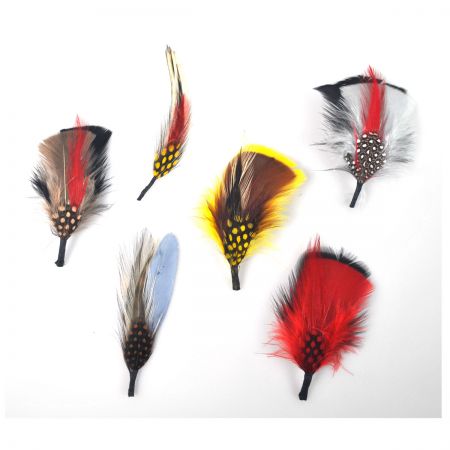 Syhood 20 Pcs Hat Feathers, Assorted Feathers for Hats Colorful Real  Feathers Accessories for Men Women() Multicoloured
