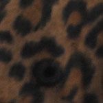 SIZE: ADJUSTABLE - Leopard