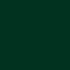 SIZE: ADJUSTABLE - Dark Green