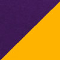 SIZE: S - Purple/Gold